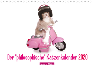 Der „philosophische“ Katzenkalender 2020 (Wandkalender 2020 DIN A4 quer) von Missou,  Madame