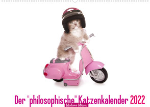 Der „philosophische“ Katzenkalender 2022 (Wandkalender 2022 DIN A2 quer) von Missou,  Madame