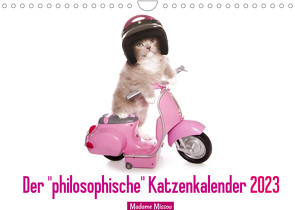Der „philosophische“ Katzenkalender 2023 (Wandkalender 2023 DIN A4 quer) von Missou,  Madame