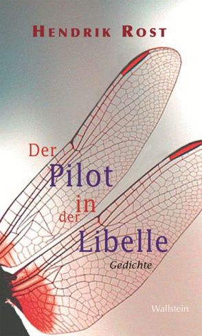 Der Pilot in der Libelle von Rost,  Hendrik