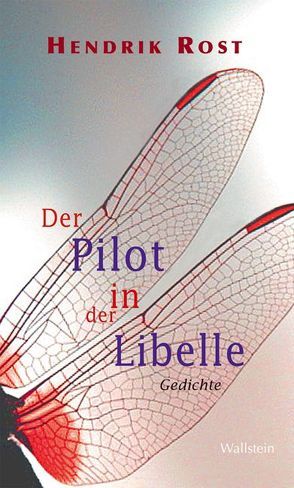 Der Pilot in der Libelle von Rost,  Hendrik