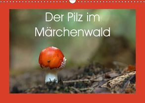 Der Pilz im Märchenwald (Wandkalender 2019 DIN A3 quer) von Flori0