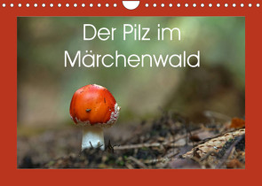 Der Pilz im Märchenwald (Wandkalender 2022 DIN A4 quer) von Flori0