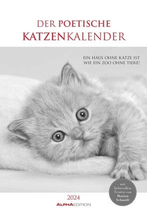 Der poetische Katzenkalender 2024 – Bild-Kalender 23,7×34 cm – mit schönen Zitaten – schwarz-weiß – Wandkalender – mit Platz für Notizen – Alpha Edition