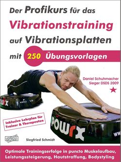 Der Profikurs für das Vibrationstraining auf Vibrationsplatten mit 250 Übungsvorlagen von Schmidt,  Siegfried