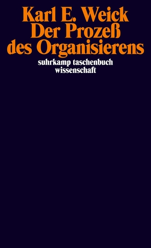 Der Prozeß des Organisierens von Hauck,  Gerhard, Weick,  Karl E.
