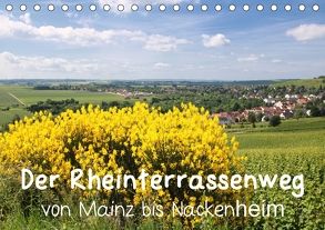 Der Rheinterrassenweg von Mainz bis Nackenheim (Tischkalender 2018 DIN A5 quer) von Dürr,  Brigitte