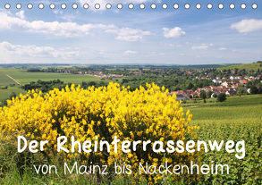 Der Rheinterrassenweg von Mainz bis Nackenheim (Tischkalender 2020 DIN A5 quer) von Dürr,  Brigitte