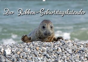 Der Robben-Geburtstagskalender (Wandkalender immerwährend DIN A2 quer) von Berg,  Martina