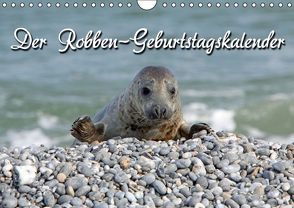 Der Robben-Geburtstagskalender (Wandkalender immerwährend DIN A4 quer) von Berg,  Martina