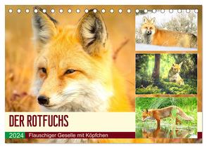 Der Rotfuchs. Flauschiger Geselle mit Köpfchen (Tischkalender 2024 DIN A5 quer), CALVENDO Monatskalender von Hurley,  Rose