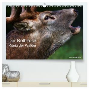 Der Rothirsch, König der Wälder (hochwertiger Premium Wandkalender 2024 DIN A2 quer), Kunstdruck in Hochglanz von von Düren,  Alexander