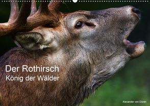 Der Rothirsch, König der Wälder (Wandkalender 2020 DIN A2 quer) von von Düren,  Alexander