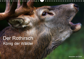 Der Rothirsch, König der Wälder (Wandkalender 2021 DIN A3 quer) von von Düren,  Alexander