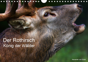 Der Rothirsch, König der Wälder (Wandkalender 2021 DIN A4 quer) von von Düren,  Alexander