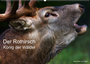 Der Rothirsch, König der Wälder (Wandkalender 2022 DIN A2 quer) von von Düren,  Alexander