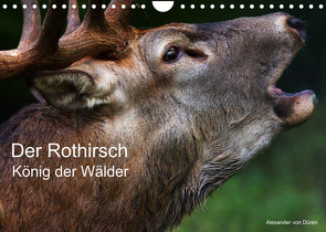 Der Rothirsch, König der Wälder (Wandkalender 2022 DIN A4 quer) von von Düren,  Alexander