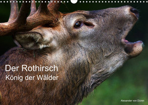 Der Rothirsch, König der Wälder (Wandkalender 2023 DIN A3 quer) von von Düren,  Alexander