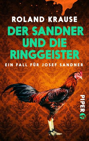 Der Sandner und die Ringgeister von Krause,  Roland