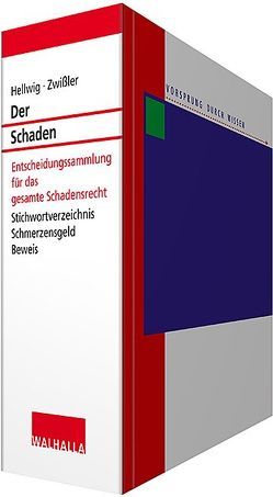 Der Schaden inkl. Online-Dienst von Hellwig,  Karl-Heinz, Zwißler,  Finn