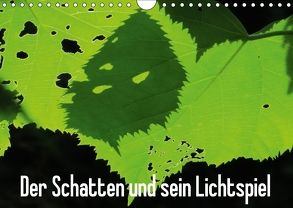 Der Schatten und sein Lichtspiel (Wandkalender 2018 DIN A4 quer) von Lacher,  Ingrid