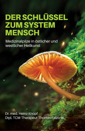 Der Schlüssel zum System Mensch von Falzone,  Dipl. TCM Thereapeut Thomas, Knopf,  Dr. med. Heinz