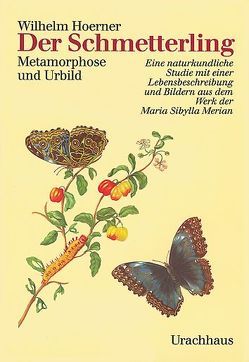 Der Schmetterling von Hoerner,  Wilhelm