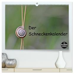 Der Schneckenkalender (hochwertiger Premium Wandkalender 2024 DIN A2 quer), Kunstdruck in Hochglanz von Schmutzler-Schaub,  Christine