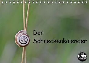Der Schneckenkalender (Tischkalender 2018 DIN A5 quer) von Schmutzler-Schaub,  Christine