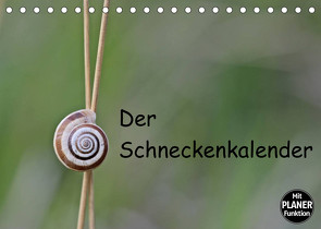 Der Schneckenkalender (Tischkalender 2023 DIN A5 quer) von Schmutzler-Schaub,  Christine