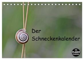 Der Schneckenkalender (Tischkalender 2024 DIN A5 quer), CALVENDO Monatskalender von Schmutzler-Schaub,  Christine