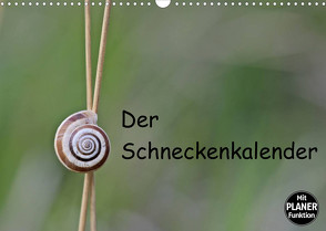 Der Schneckenkalender (Wandkalender 2023 DIN A3 quer) von Schmutzler-Schaub,  Christine