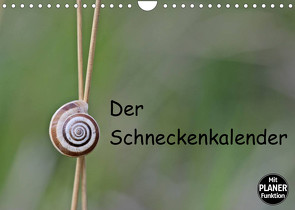 Der Schneckenkalender (Wandkalender 2023 DIN A4 quer) von Schmutzler-Schaub,  Christine