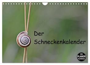 Der Schneckenkalender (Wandkalender 2024 DIN A4 quer), CALVENDO Monatskalender von Schmutzler-Schaub,  Christine