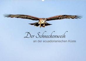 Der Schneckenweih (Wandkalender 2022 DIN A2 quer) von Rosenthal,  Peter