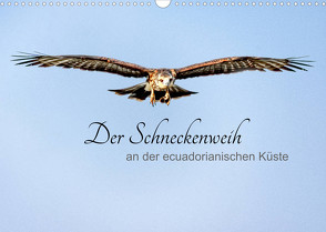 Der Schneckenweih (Wandkalender 2023 DIN A3 quer) von Rosenthal,  Peter