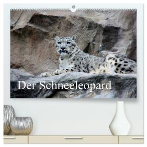 Der Schneeleopard (hochwertiger Premium Wandkalender 2024 DIN A2 quer), Kunstdruck in Hochglanz von Klatt,  Arno