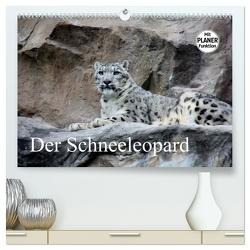 Der Schneeleopard (hochwertiger Premium Wandkalender 2024 DIN A2 quer), Kunstdruck in Hochglanz von Klatt,  Arno