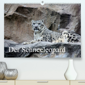 Der Schneeleopard (Premium, hochwertiger DIN A2 Wandkalender 2023, Kunstdruck in Hochglanz) von Klatt,  Arno