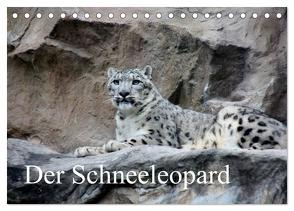 Der Schneeleopard (Tischkalender 2024 DIN A5 quer), CALVENDO Monatskalender von Klatt,  Arno