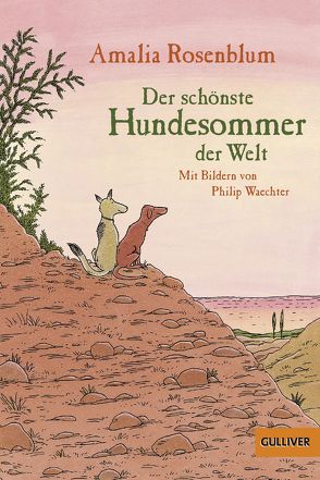 Der schönste Hundesommer der Welt von Pressler,  Mirjam, Rosenblum,  Amalia, Waechter,  Philip