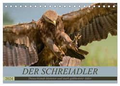 Der Schreiadler (Clanga pomarina) – Deutschands kleinster und stark gefährdeter Adler. (Tischkalender 2024 DIN A5 quer), CALVENDO Monatskalender von Wünsche,  Arne