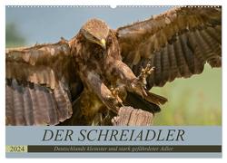 Der Schreiadler (Clanga pomarina) – Deutschands kleinster und stark gefährdeter Adler. (Wandkalender 2024 DIN A2 quer), CALVENDO Monatskalender von Wünsche,  Arne