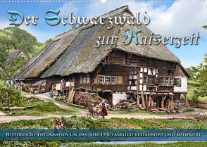 Der Schwarzwald zur Kaiserzeit – Fotos neu restauriert (Wandkalender 2023 DIN A2 quer) von Tetsch,  André