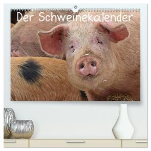 Der Schweinekalender (hochwertiger Premium Wandkalender 2024 DIN A2 quer), Kunstdruck in Hochglanz von Schmutzler-Schaub,  Christine