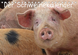 Der Schweinekalender (Tischkalender 2023 DIN A5 quer) von Schmutzler-Schaub,  Christine