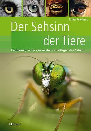 Der Sehsinn der Tiere von Peterhans,  Esther