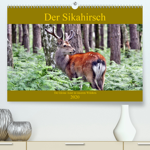 Der Sikahirsch – Der kleine Asiat in unseren Wäldern (Premium, hochwertiger DIN A2 Wandkalender 2020, Kunstdruck in Hochglanz) von Klatt,  Arno