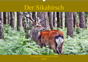 Der Sikahirsch – Der kleine Asiat in unseren Wäldern (Wandkalender 2021 DIN A2 quer) von Klatt,  Arno