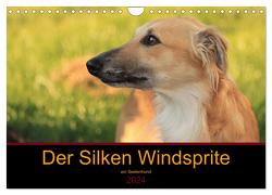 Der Silken Windsprite – ein Seelenhund (Wandkalender 2024 DIN A4 quer), CALVENDO Monatskalender von Alexandra Wais,  Sabine